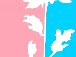 Color me Impressed - Canvas #31