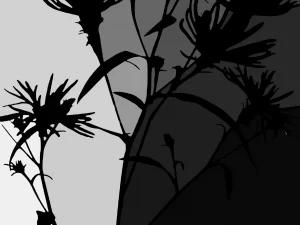 Color me Impressed - Canvas #9