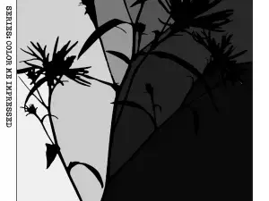 Color me Impressed - Print #09