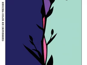 Color me Impressed - Print #12