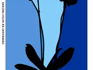 Color me Impressed - Print #18