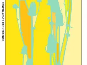 Color me Impressed - Print #07